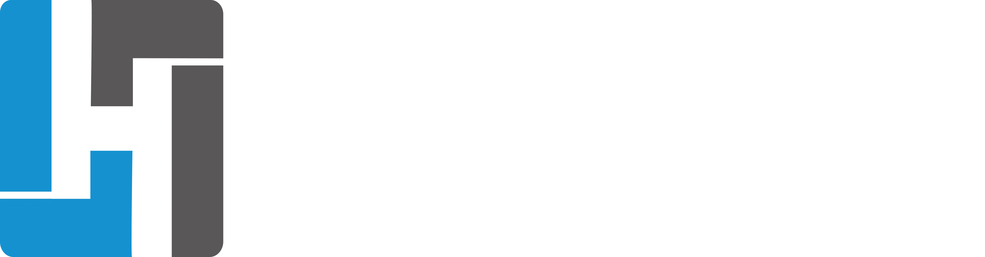 HSEMI